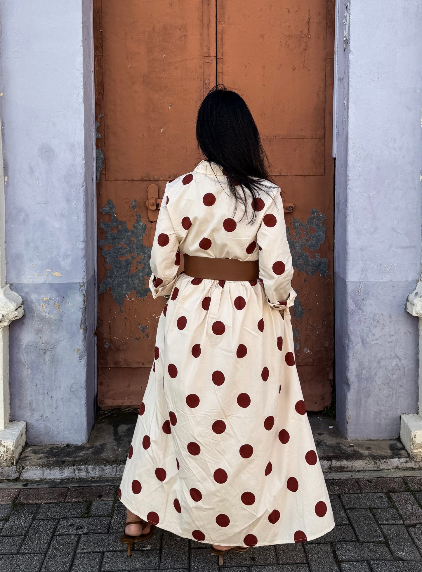 Polka Dot Button Down Dress