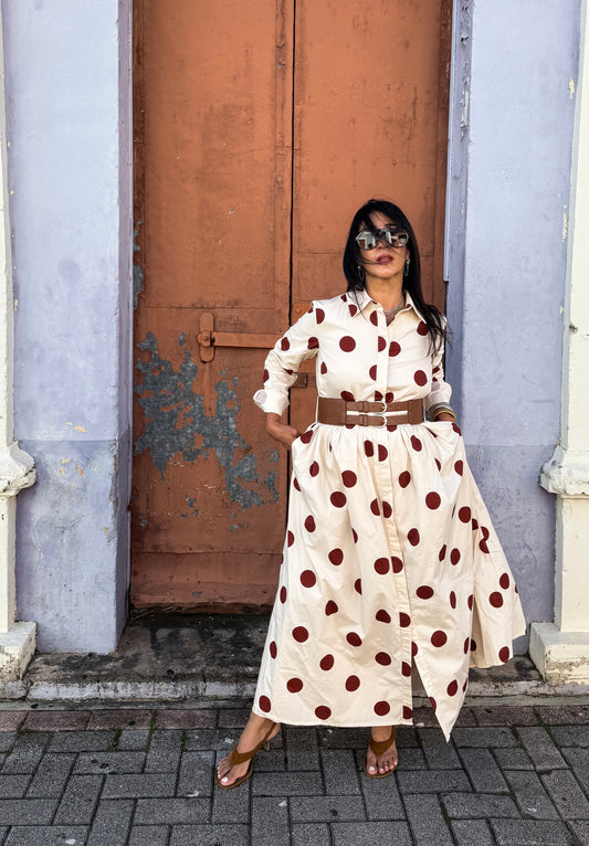 Polka Dot Button Down Dress