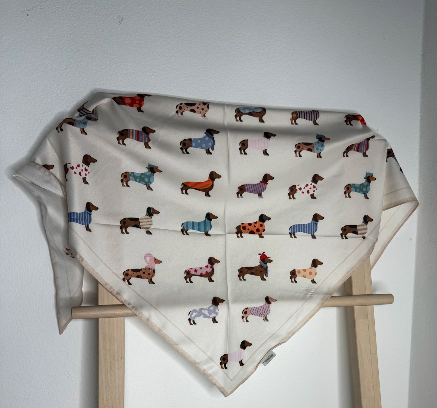 Dachshounds Triangular Scarf