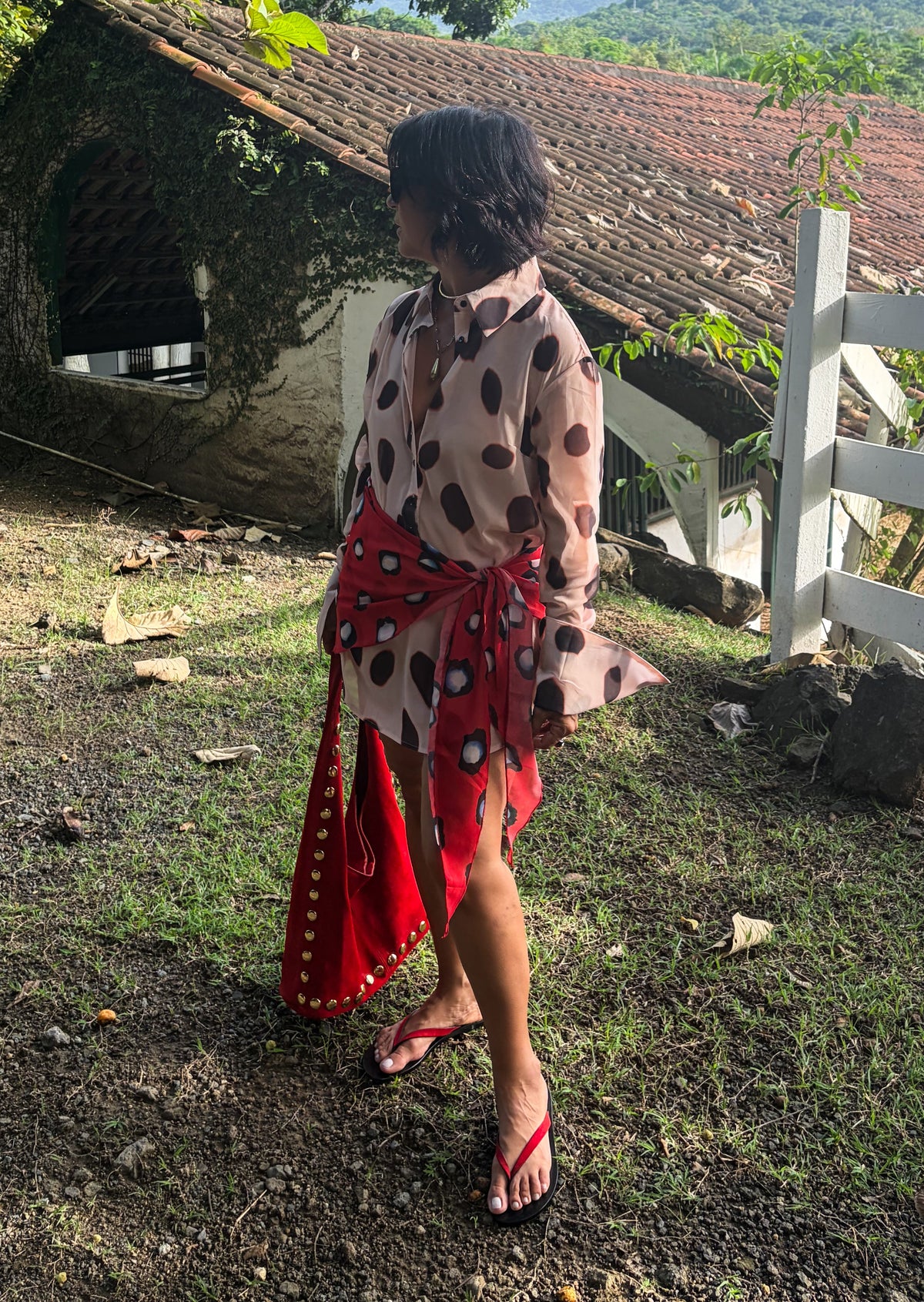 Sheer Polka Dot Mini Dress