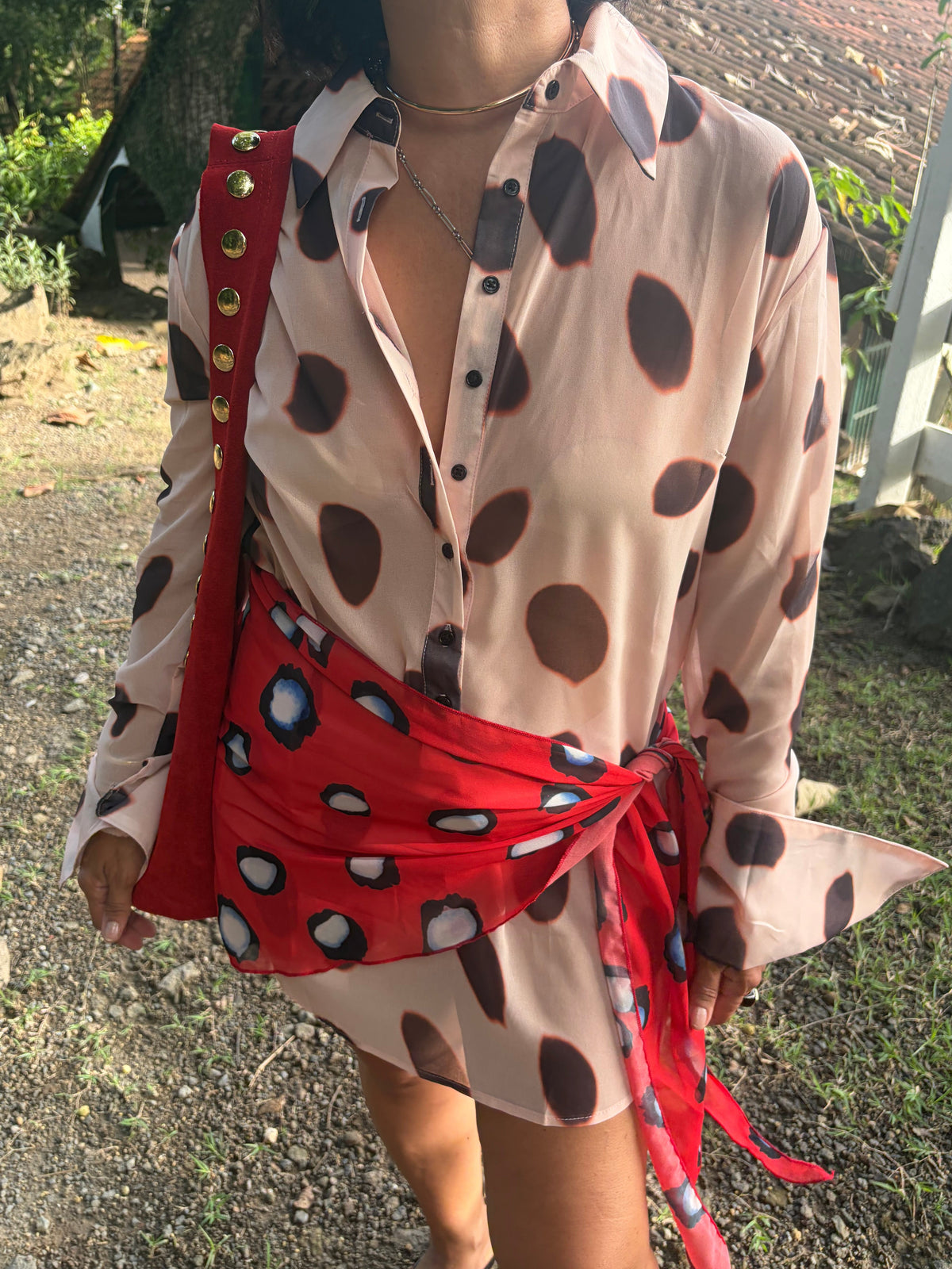 Sheer Polka Dot Mini Dress