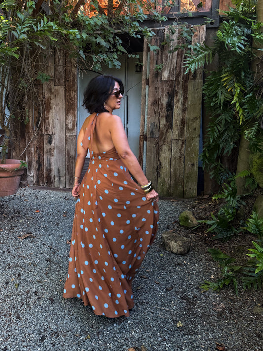 Brown/Blue Polka Dots Maxi Dress